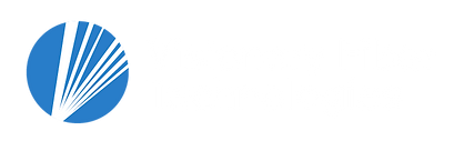 Visionary Fiber Technologies Logo
